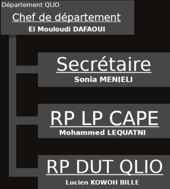 Département 'QLIO' de l'organigramme